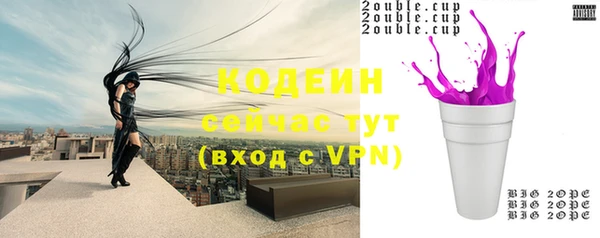 дмт Богородск