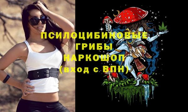 а пвп мука Бородино