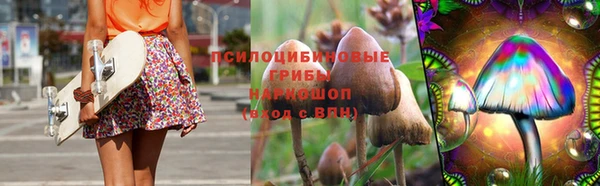 a pvp Богданович