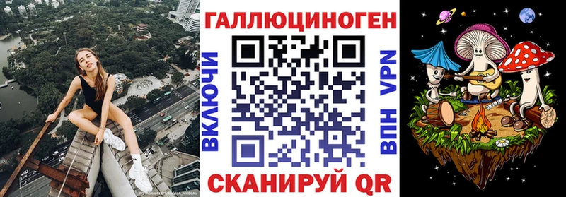 Купить где  Шлиссельбург  Галлюциногенные грибы мухоморы 