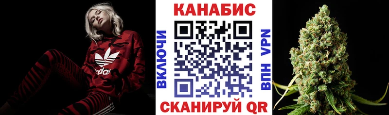 Купить  Шлиссельбург  Каннабис индика 